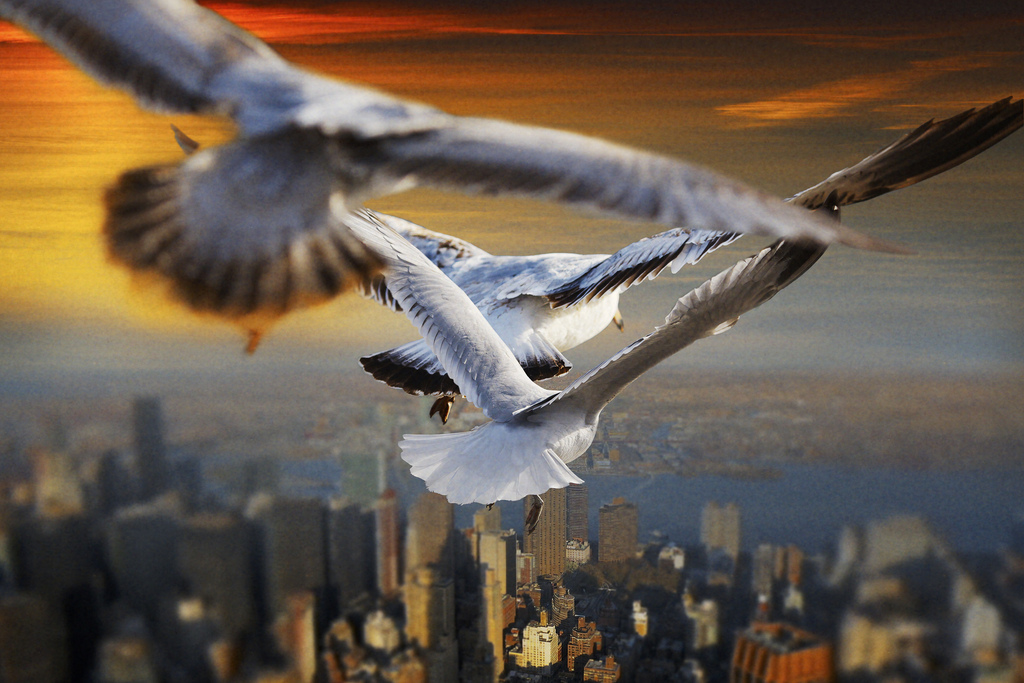 避坑实操：Claude Code 对接智谱API全流程