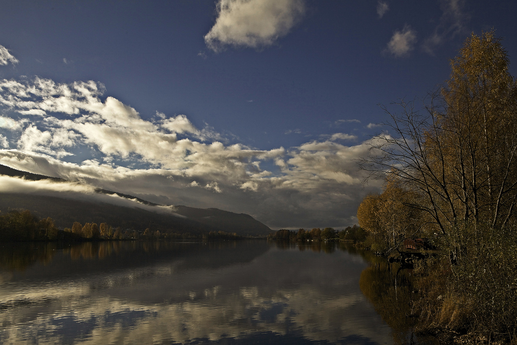 了解oh-my-opencode 插件位置